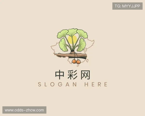 关于中彩网官网